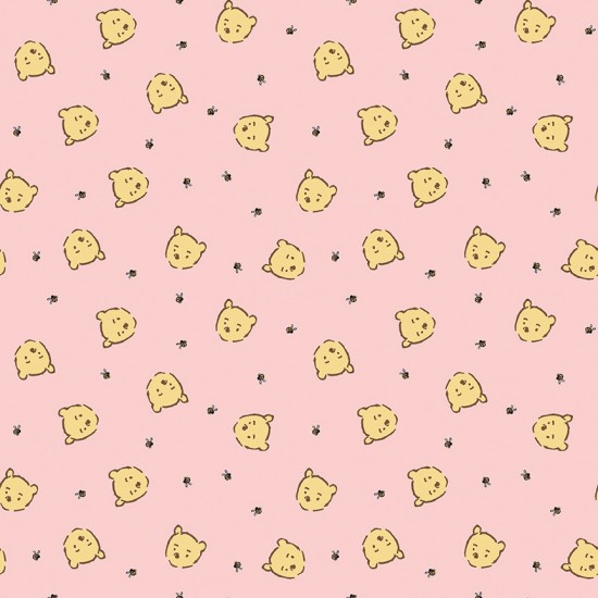 Winnie the Pooh Baby